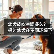 幼犬吹空调时间指南｜科学使用全攻略(图4)