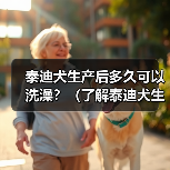泰迪犬生产后洗澡时间及注意事项｜科学护理全攻略(图4)