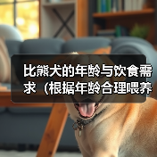 比熊犬年龄饮食需求全攻略(图4)