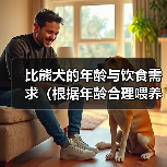 比熊犬年龄饮食需求全攻略