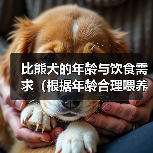 比熊犬年龄饮食需求全攻略(图3)