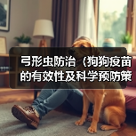 弓形虫防治(狗狗疫苗的有效性及科学预防策略)(图2) 弓形虫防治全攻略:狗狗疫苗与科学预防策略(图2)