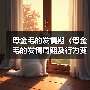 母金毛发情周期及行为变化全攻略(图2)