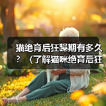 猫绝育后狂躁期有多久?(了解猫咪绝育后狂躁期的持续时间及如何处理)(图3) 猫绝育后狂躁期持续多久|科学应对全攻略(图3)