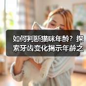 如何判断猫咪年龄?探索牙齿变化揭示年龄之谜(牙齿变化的秘密解读,从牙齿看猫咪年龄)(图3) 猫咪牙齿变化看年龄|科学判断猫咪年龄全攻略(图3)