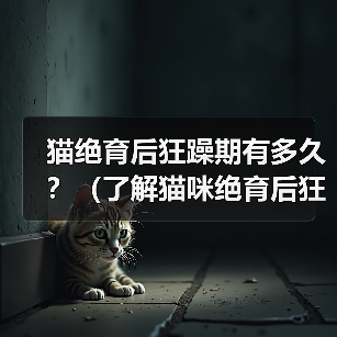 猫绝育后狂躁期有多久?(了解猫咪绝育后狂躁期的持续时间及如何处理)(图4) 猫绝育后狂躁期持续多久|科学应对全攻略(图4)