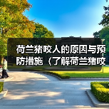 荷兰猪咬人的原因与预防措施(了解荷兰猪咬人的主要原因及如何避免受伤)(图3) 荷兰猪咬人原因及预防方法|实用指南(图3)