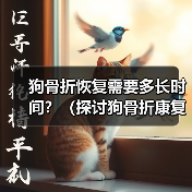 狗骨折恢复需要多长时间?(探讨狗骨折康复的时间和步骤)(图2) 狗骨折恢复时间与护理步骤全解析(图2)