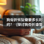 狗骨折恢复时间与护理步骤全解析