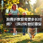 狗骨折恢复需要多长时间?(探讨狗骨折康复的时间和步骤)(图3) 狗骨折恢复时间与护理步骤全解析(图3)