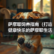 萨摩耶饲养指南(打造健康快乐的萨摩耶生活)(图4) 萨摩耶饲养全攻略|健康快乐生活指南(图4)