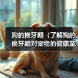 狗的换牙期(了解狗的换牙期对宠物的健康至关重要)(图2) 狗的换牙期护理全攻略|宠物健康必读(图2)