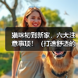 猫咪初到新家,六大注意事项!(打造舒适的新家,让猫咪快乐成长)(图3) 猫咪新家适应指南|六大注意事项全解析(图3)