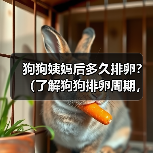 狗狗姨妈后多久排卵｜科学掌握繁殖周期全攻略