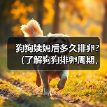 狗狗姨妈后多久排卵?(了解狗狗排卵周期,细心呵护你的宠物)(图3) 狗狗姨妈后多久排卵|科学掌握繁殖周期全攻略(图3)