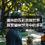 猫咪的五彩斑斓世界(探索猫咪世界中的多彩外貌之谜)(图3) 猫咪毛色大全|五彩斑斓的外貌魅力解析(图3)