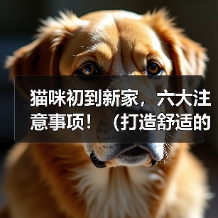 猫咪初到新家,六大注意事项!(打造舒适的新家,让猫咪快乐成长)(图4) 猫咪新家适应指南|六大注意事项全解析(图4)