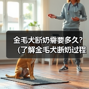 金毛犬断奶需要多久?(了解金毛犬断奶过程及时间长度的关键因素)(图4) 金毛犬断奶时间及关键因素|科学喂养全攻略(图4)