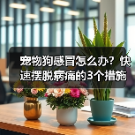 宠物狗感冒怎么办?快速摆脱病痛的3个措施!(帮助你的狗狗尽快恢复健康,远离感冒的困扰。)(图2) 宠物狗感冒怎么办?快速恢复指南(图2)