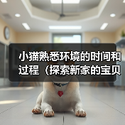 小猫熟悉环境的时间和过程(探索新家的宝贝猫咪是怎样逐渐适应的)(图4) 小猫适应新家全过程|新手养猫指南(图4)