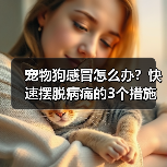 宠物狗感冒怎么办?快速摆脱病痛的3个措施!(帮助你的狗狗尽快恢复健康,远离感冒的困扰。)(图3) 宠物狗感冒怎么办?快速恢复指南(图3)
