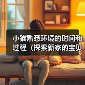 小猫适应新家全过程｜新手养猫指南