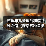 燕鱼与孔雀鱼的和谐共处之道(探索多种鱼类饲养的可行性,斗鱼是否适宜?)(图3) 燕鱼孔雀鱼共养技巧斗鱼是否适合共处全攻略(图3)