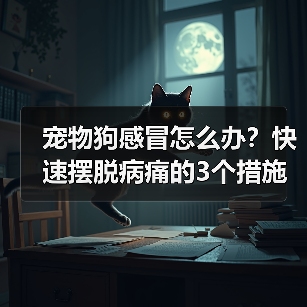 宠物狗感冒怎么办?快速摆脱病痛的3个措施!(帮助你的狗狗尽快恢复健康,远离感冒的困扰。)(图4) 宠物狗感冒怎么办?快速恢复指南(图4)