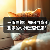 如何自查刚到家的小狗是否健康｜新手养狗全攻略(图4)