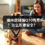 猫咪吃辅酶Q10有用吗？安全服用指南(图3)