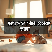 狗狗怀孕注意事项全攻略(图1)