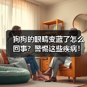 狗狗眼睛变蓝原因及应对方法｜常见疾病解析(图3)