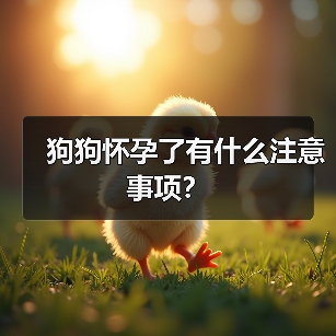 狗狗怀孕注意事项全攻略(图3)