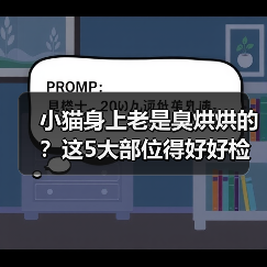 小猫身上有异味怎么处理｜常见原因及解决方法全攻略(图2)