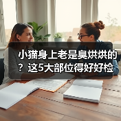 小猫身上有异味怎么处理｜常见原因及解决方法全攻略(图1)