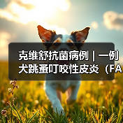 犬跳蚤叮咬性皮炎病例分析｜综合治疗全攻略(图3)