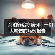 犬咬伤感染治疗案例｜保守疗法应用分析