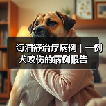 海泊舒治疗病例 | 一例犬咬伤的病例报告(图3) 犬咬伤感染治疗案例|保守疗法应用分析(图3)