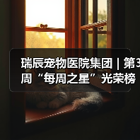 瑞辰宠物医院集团 | 第3周“每周之星”光荣榜(图4) 瑞辰每周之星评选|优秀员工风采展示(图4)