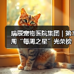瑞辰每周之星评选｜优秀员工风采展示