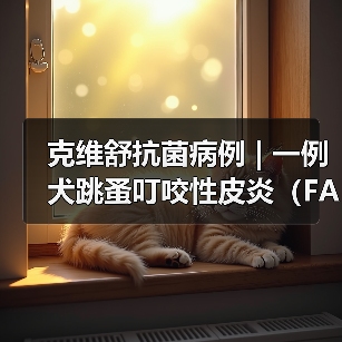 犬跳蚤叮咬性皮炎病例分析｜综合治疗全攻略(图2)