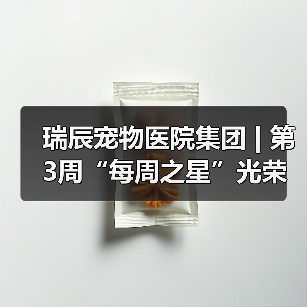 瑞辰宠物医院集团 | 第3周“每周之星”光荣榜(图3) 瑞辰每周之星评选|优秀员工风采展示(图3)