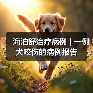 海泊舒治疗病例 | 一例犬咬伤的病例报告(图2) 犬咬伤感染治疗案例|保守疗法应用分析(图2)
