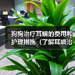 狗狗治疗耳螨的费用和护理措施(了解耳螨治疗费用及如何正确护理你的爱犬)(图4) 狗狗耳螨治疗费用及护理措施全攻略(图4)