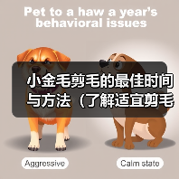 小金毛剪毛的最佳时间与方法(了解适宜剪毛的时机,让小金毛焕然一新)(图3) 小金毛剪毛时间与方法|全面护理指南(图3)