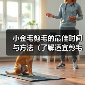 小金毛剪毛的最佳时间与方法(了解适宜剪毛的时机,让小金毛焕然一新)(图4) 小金毛剪毛时间与方法|全面护理指南(图4)