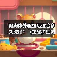 狗狗体外驱虫后洗脚时间指南｜正确护理足部健康