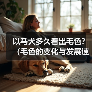 以马犬多久看出毛色?(毛色的变化与发展速度)(图2) 以马犬毛色发展规律解析|养犬必备知识(图2)