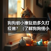 狗狗细小康复后多久打疫苗?(了解狗狗细小康复后疫苗接种时间的重要性)(图3) 狗狗细小康复后疫苗接种时间指南|重要注意事项全解析(图3)