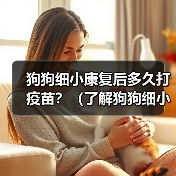 狗狗细小康复后疫苗接种时间指南｜重要注意事项全解析